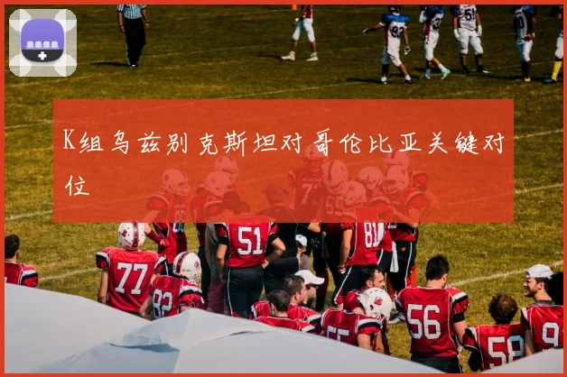 K组乌兹别克斯坦对哥伦比亚关键对位
