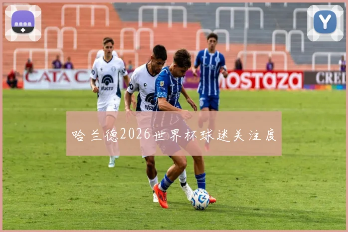 哈兰德2026世界杯球迷关注度