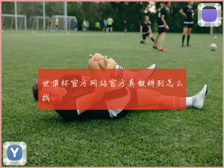 世俱杯官方网站官方真假辨别怎么找